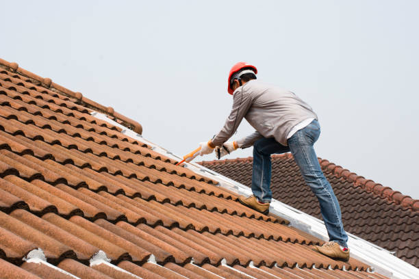 Best Roof Leak Repair  in Craig Beach, OH
